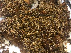 -松明一烤肉馆(鲁园店)