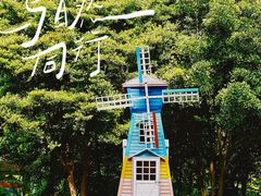 -上海共青森林公园