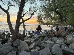 -宝安西湾红树林湿地公园