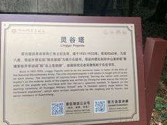 -灵谷景区