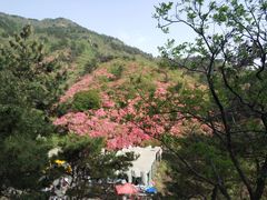 -木兰云雾山