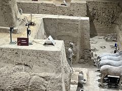 -秦始皇帝陵博物院(兵马俑)