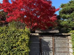 -岚山嵯峨野观光小火车