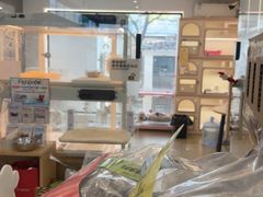 -翊宠yipet猫狗购宠庄园犬舍•猫舍