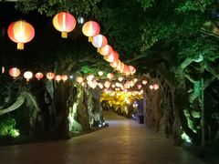 -横店影视城梦幻谷园区