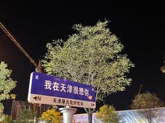 -天津之眼摩天轮