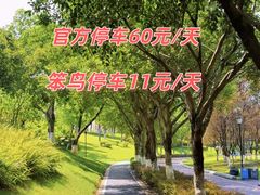 -青岛胶东国际机场