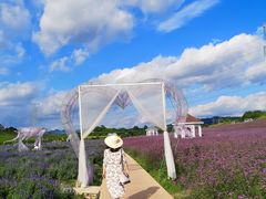 -紫颐香薰山谷景区
