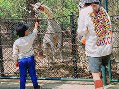 -大连森林动物园