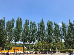 -吉林大学(前卫南区)