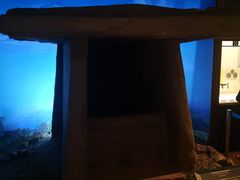 -旅顺博物馆