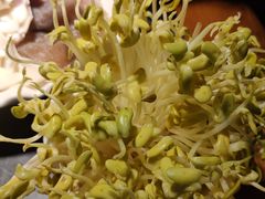 -三只耳火锅(宽窄巷子店)