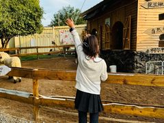 -HERRE·FARM 赫尔露营农场·团建聚会包场