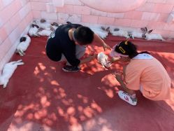 -季高兔窝窝亲子园(上海薰衣草公园店)