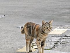-广州市紫泥堂文化创意园景区