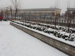 -张店儿童公园