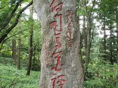 -庐山风景区花径公园