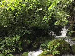 -神龙峡风景区