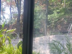 -恬阿姨庭院餐厅·生日宴