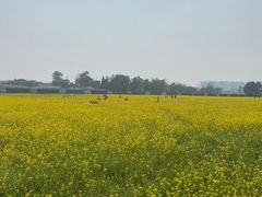 -蜀绣公园