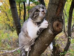 -帽儿山国家森林公园