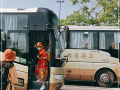 -迪士尼乐园停车场