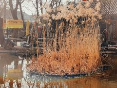 -白家大院·王府宫廷菜(苏州街店)