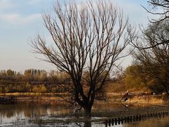 -野鸭湖国家湿地公园