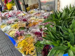 -溪岸路花鸟市场