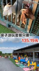 -小蜜蜂农场(凯德七宝购物广场店)