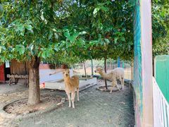 -武汉紫薇都市田园