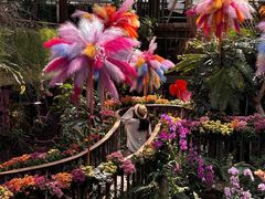 -正佳雨林生态植物园