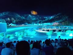 -鼎盛王朝康熙大典实景演出