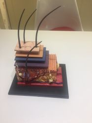 -咪咪比基尼脱毛专业店