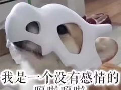 -啊臻味道米粉(六道口店)