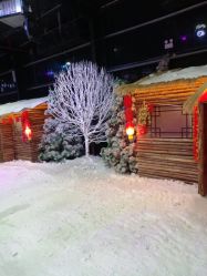 -圣名游乐城冰雪大世界