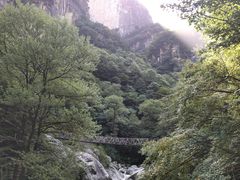 -青峰峡国家森林公园