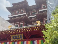 -新加坡佛牙寺龙华院