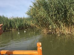-乌梁素海景区