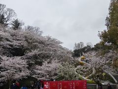 -杭州少年儿童公园