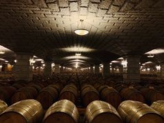 -紫轩葡萄酒庄园