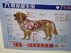 -瑞派康怡24h宠物医院·犬猫医疗中心·微创绝育(瑞景分院)