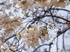 -红星桥(地铁站)