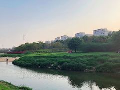 -杨梅坑