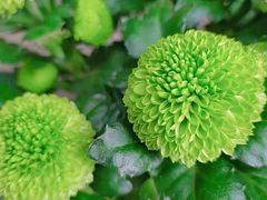 -卧龙堡客栈·中餐厅(古北水镇店)