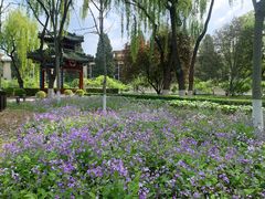 -中国农业博物馆