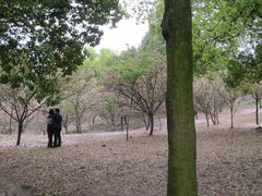 -石峰公园