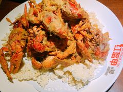 -红盔甲·小龙虾(天钥桥店)