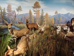 -陕西自然博物馆