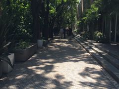 -文三里屯面馆(三里屯店)